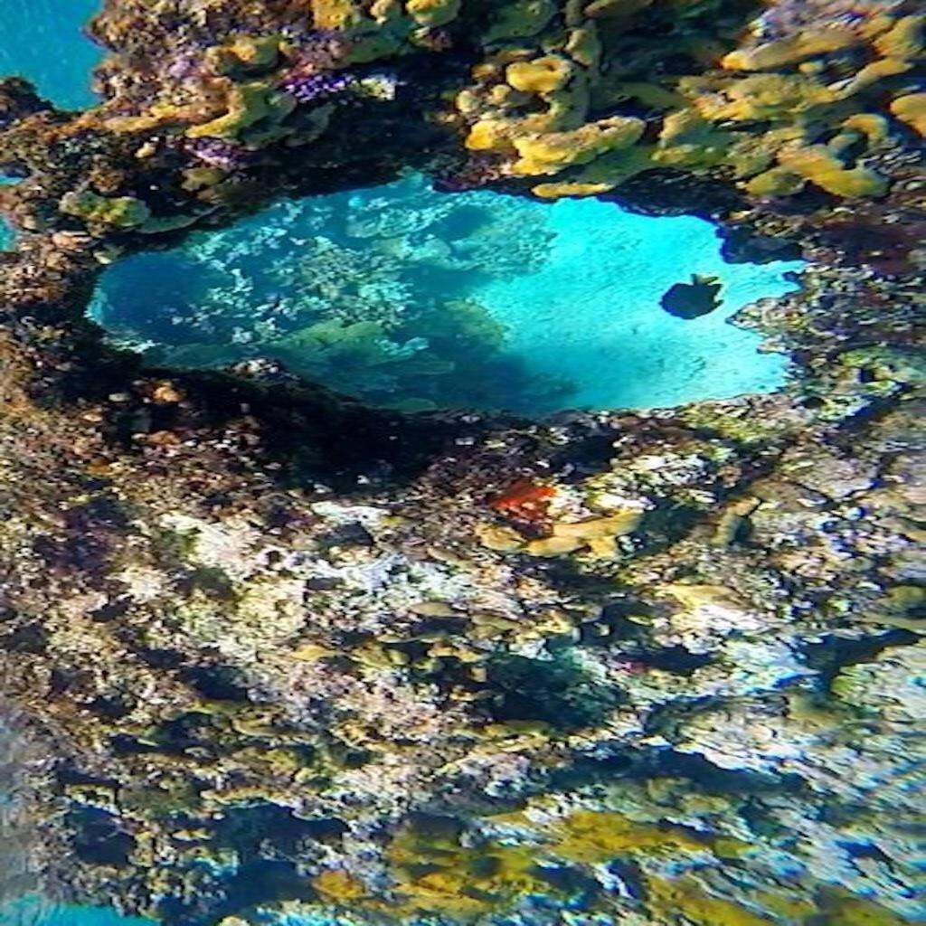 Condumel Leilighet Cozumel Eksteriør bilde