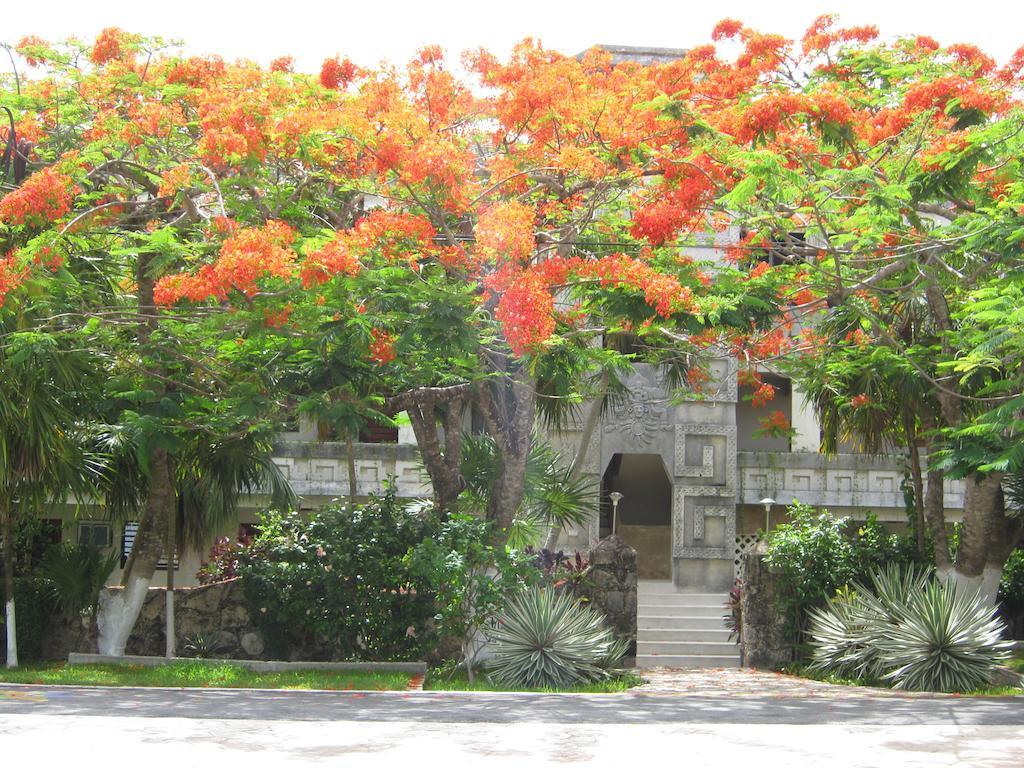 Condumel Leilighet Cozumel Rom bilde