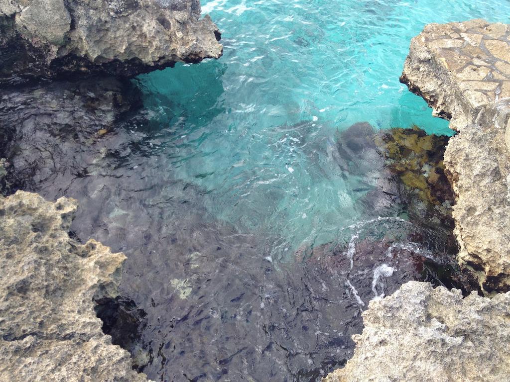 Condumel Leilighet Cozumel Rom bilde